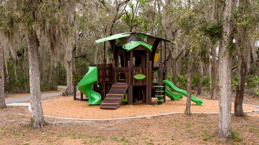 Canopy Shores Park