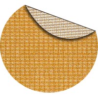 Savanna