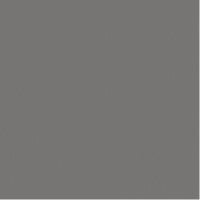 Dolphin Gray